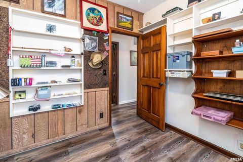 Tiny photo for 207 W Sylvester Street, Christopher, IL 62822 (MLS # EB460415)