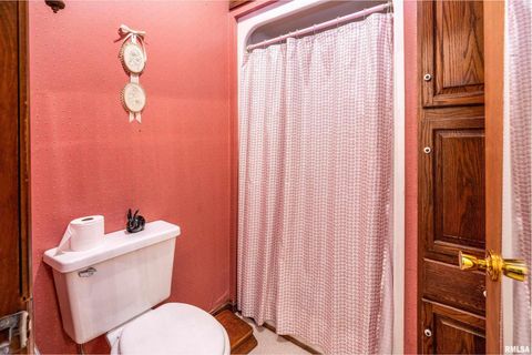 Tiny photo for 207 W Sylvester Street, Christopher, IL 62822 (MLS # EB460415)