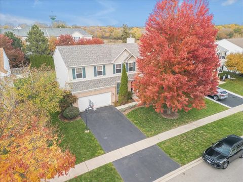 Tiny photo for 316 Gregory M Sears Drive, Gilberts, IL 60136 (MLS # 12504663)