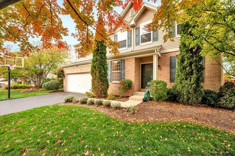 Tiny photo for 316 Gregory M Sears Drive, Gilberts, IL 60136 (MLS # 12504663)