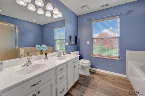 Tiny photo for 316 Gregory M Sears Drive, Gilberts, IL 60136 (MLS # 12504663)