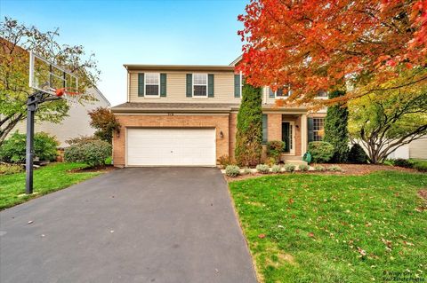 Photo of 316 Gregory M Sears Drive, Gilberts, IL 60136 (MLS # 12504663) Photo of 316 Gregory M Sears Drive, Gilberts, IL 60136 (MLS # 12504663)