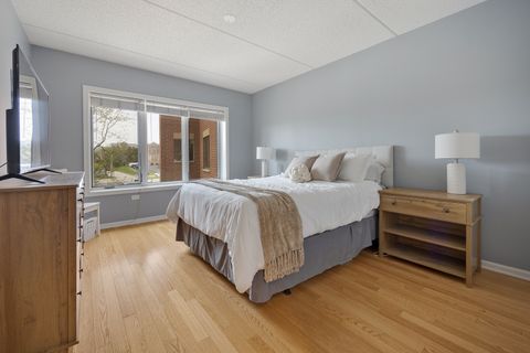 Tiny photo for 225 Main Street #216, Roselle, IL 60172 (MLS # 12600873)