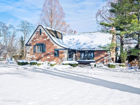 Tiny photo for 231 S Arlington Avenue, Elmhurst, IL 60126 (MLS # 12529735)