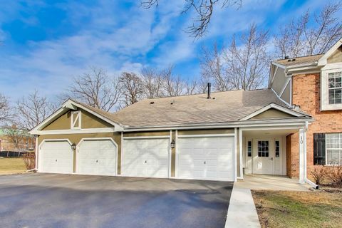 Photo of 10 Waterbury Lane #M2, Schaumburg, IL 60193 (MLS # 12624743)