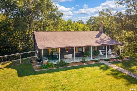 Tiny photo for 8384 Hickory Ridge Road, Murphysboro, IL 62966 (MLS # EB460118)