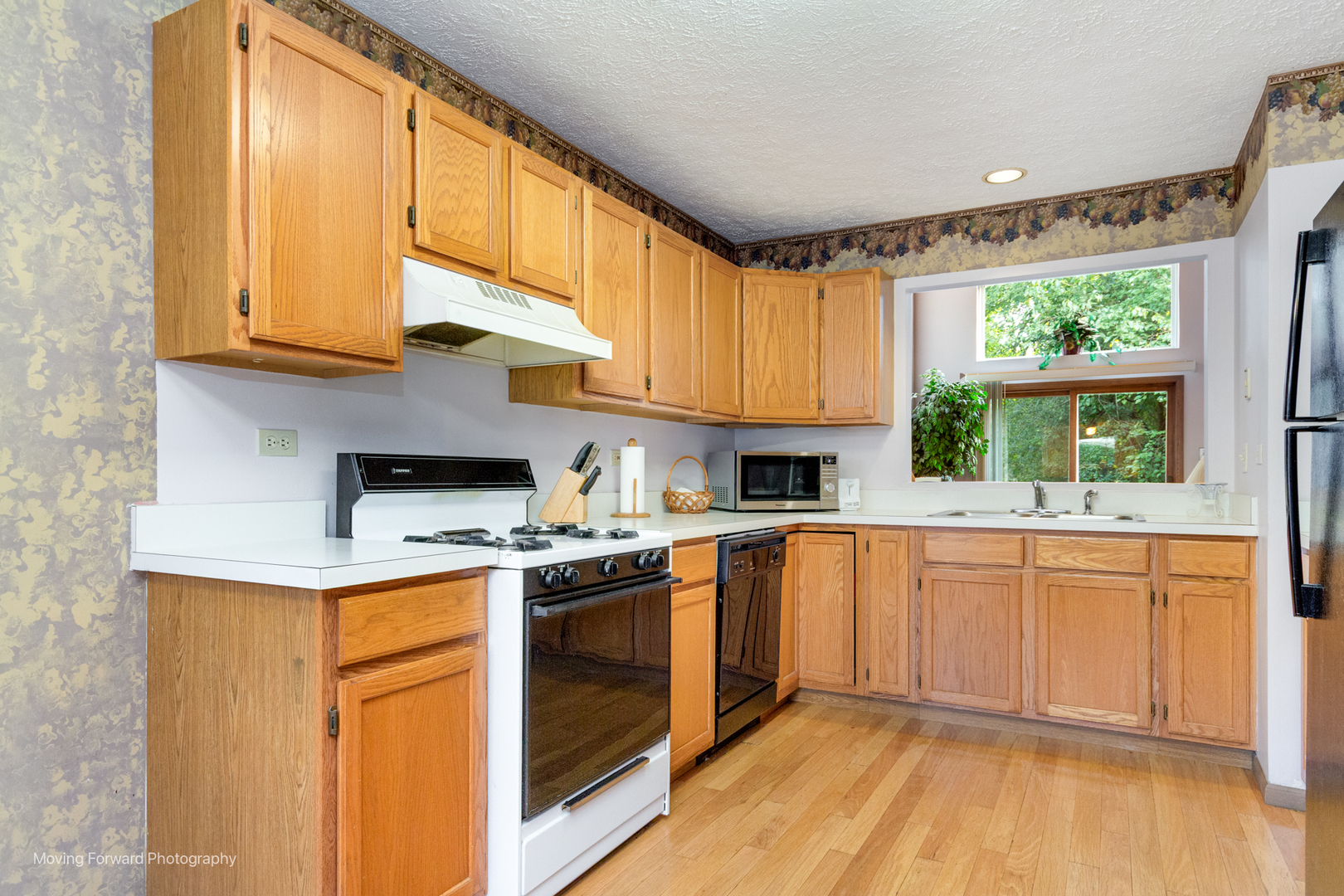 4208 Whitetail Court