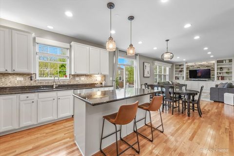 Tiny photo for 380 Fountain Avenue, Elgin, IL 60124 (MLS # 12634506)