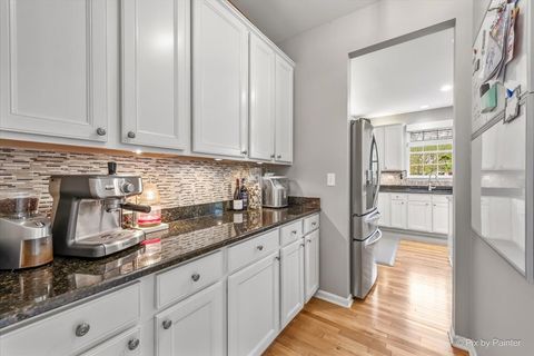 Tiny photo for 380 Fountain Avenue, Elgin, IL 60124 (MLS # 12634506)