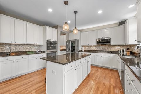 Tiny photo for 380 Fountain Avenue, Elgin, IL 60124 (MLS # 12634506)
