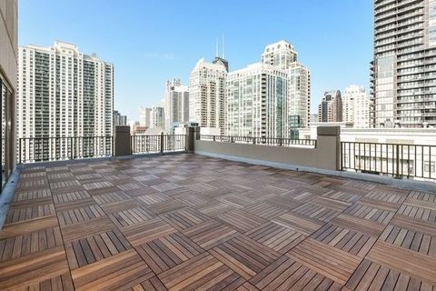 Tiny photo for Chicago, IL 60654 (MLS # 12515116)