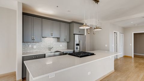 Tiny photo for Chicago, IL 60654 (MLS # 12515116)