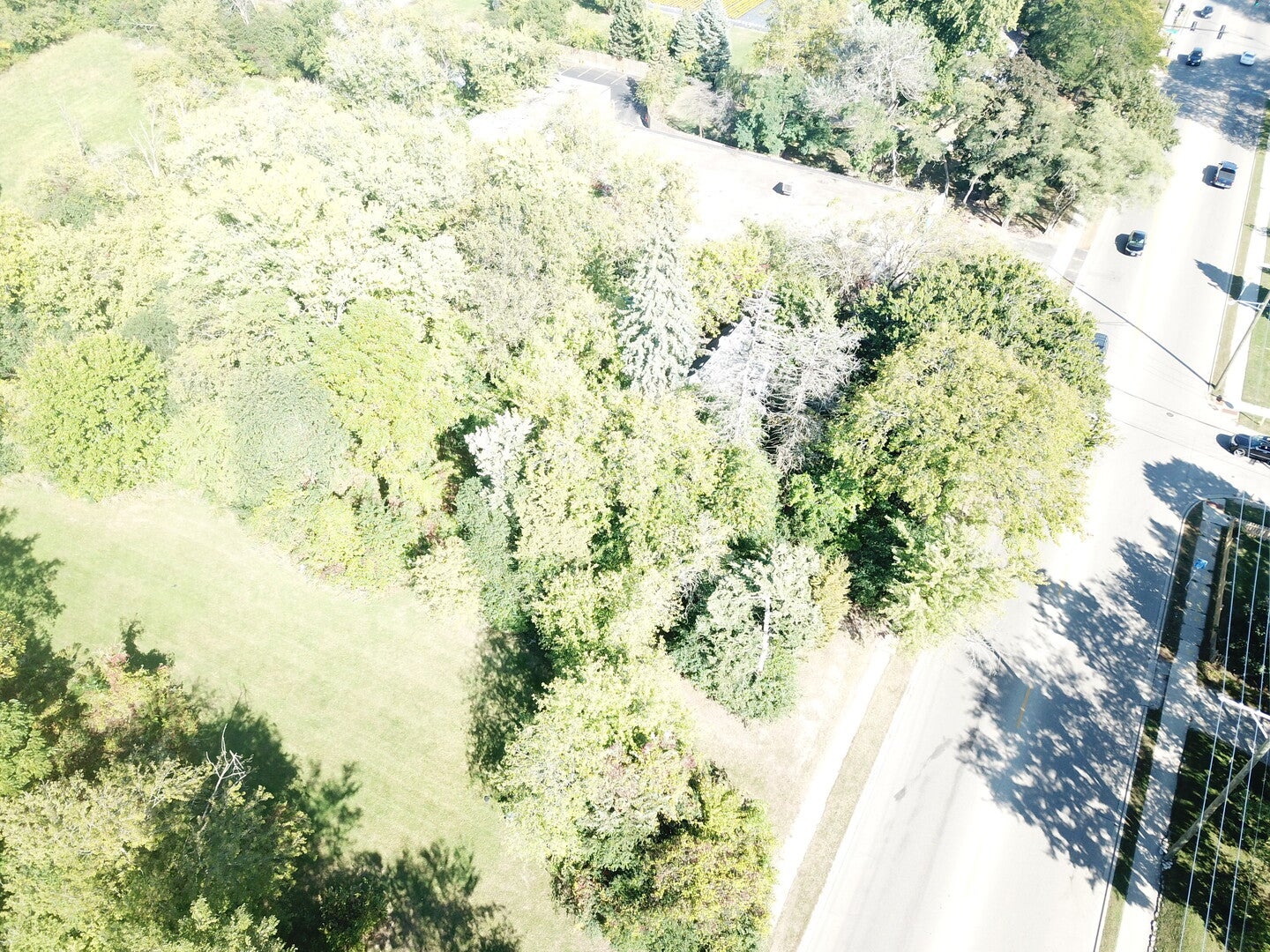 1504 W Glen Flora Avenue