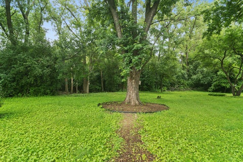 Tiny photo for 2S155 Mayfield Lane, Glen Ellyn, IL 60137 (MLS # 12687785)