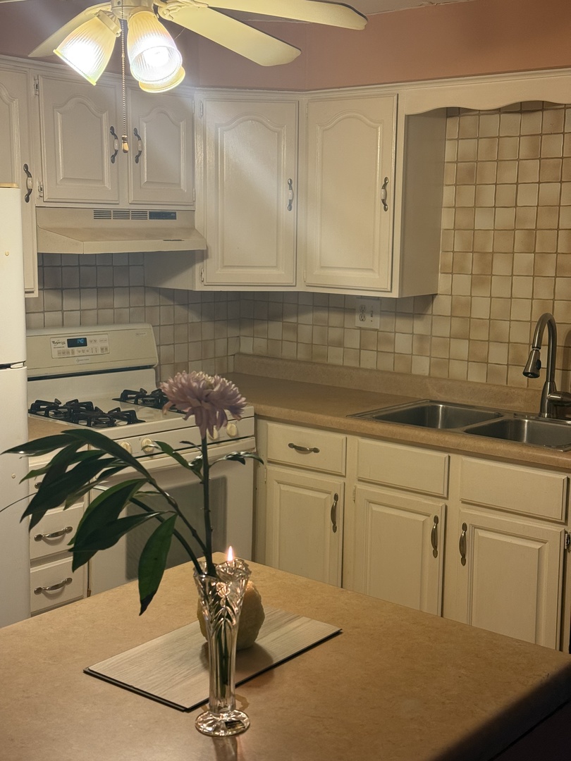 5241 N East River Road 1C