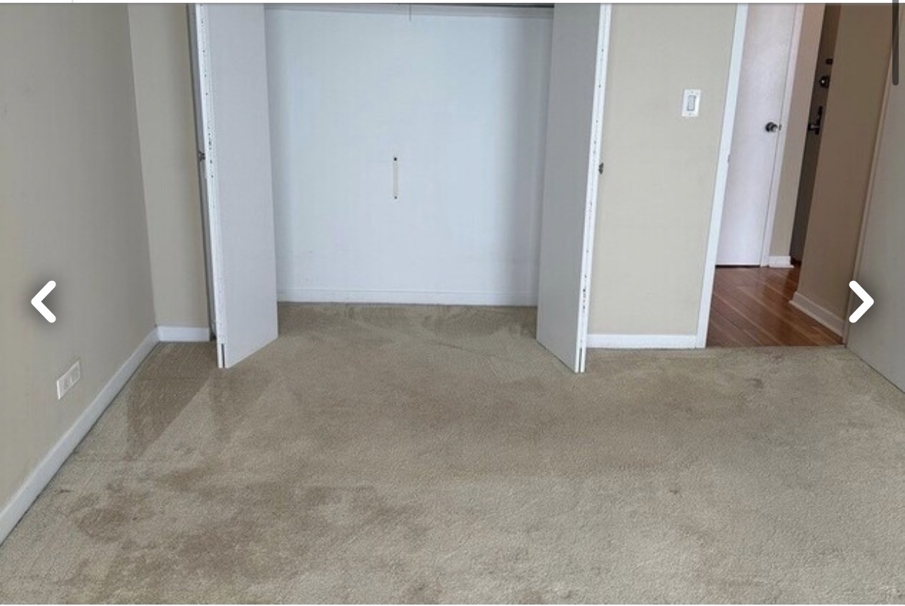 2626 N Lakeview Avenue 3605