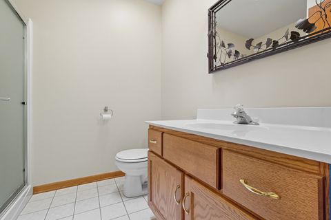 Tiny photo for 286 Woodward Street, Beecher, IL 60401 (MLS # 12457197)