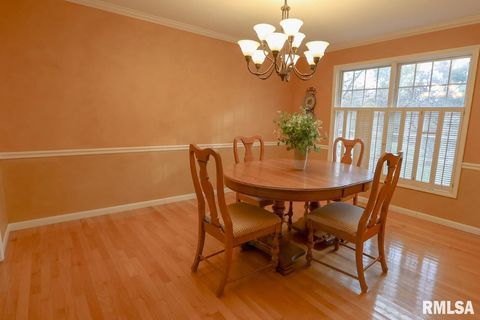 Tiny photo for 2123 S 30TH Street, Quincy, IL 62301 (MLS # QC4269538)