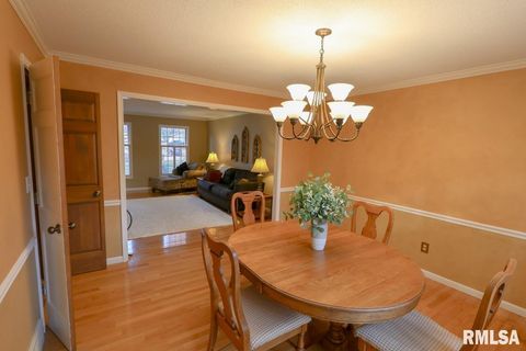 Tiny photo for 2123 S 30TH Street, Quincy, IL 62301 (MLS # QC4269538)