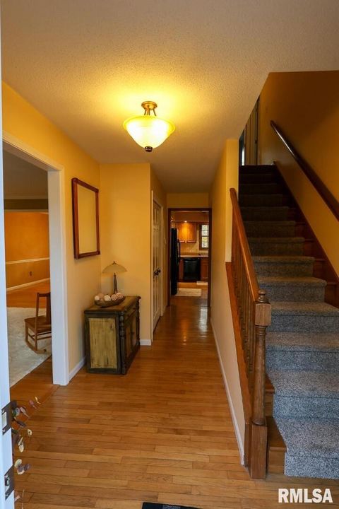 Tiny photo for 2123 S 30TH Street, Quincy, IL 62301 (MLS # QC4269538)