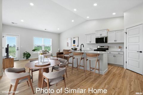 Tiny photo for 430 N 2ND Avenue, Eldridge, IA 52748 (MLS # 12552007)