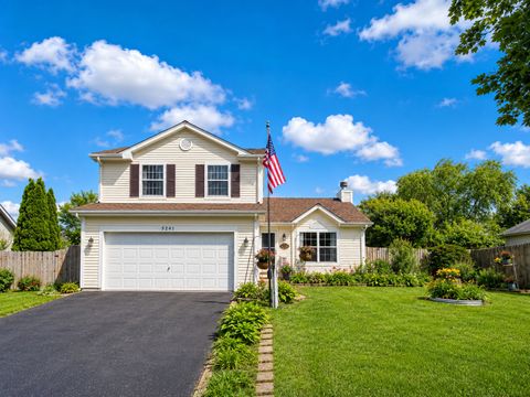 Photo of 5241 W Orchard Trail, Monee, IL 60449 (MLS # 12682193)