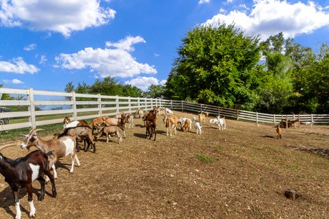 Tiny photo for 7830 N Pillow Hill Road, Spring Grove, IL 60081 (MLS # 12487256)