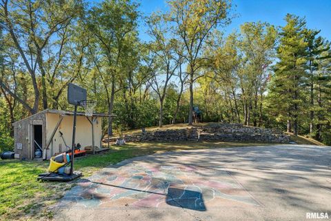 Tiny photo for 8039 HAZEL Road, Morrison, IL 61270 (MLS # QC4269999)