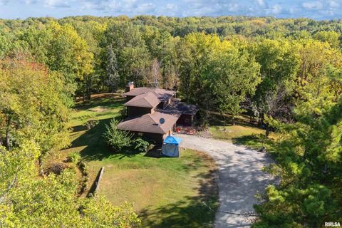 Tiny photo for 8039 HAZEL Road, Morrison, IL 61270 (MLS # QC4269999)