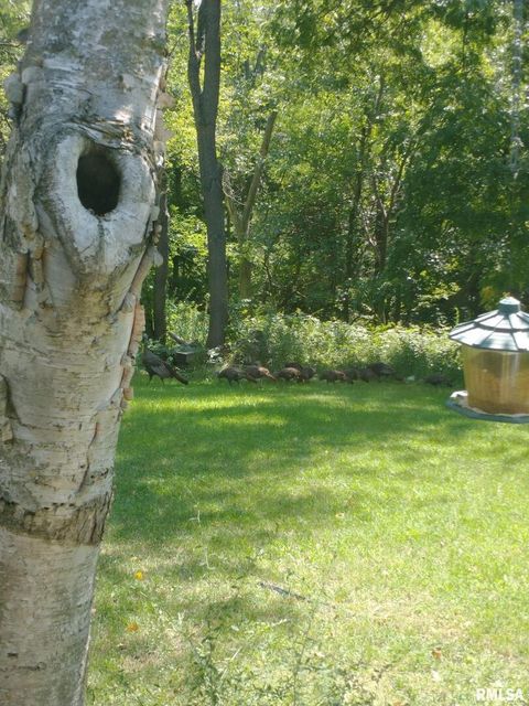 Tiny photo for 8039 HAZEL Road, Morrison, IL 61270 (MLS # QC4269999)