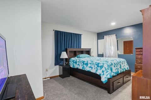 Tiny photo for 8039 HAZEL Road, Morrison, IL 61270 (MLS # QC4269999)