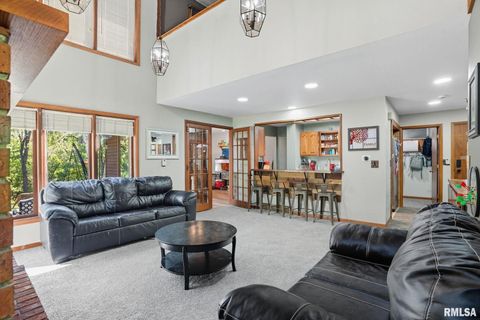 Tiny photo for 8039 HAZEL Road, Morrison, IL 61270 (MLS # QC4269999)