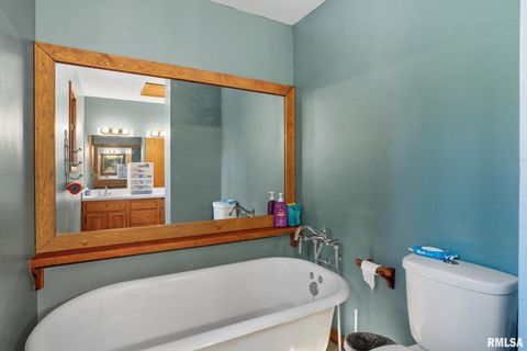 Tiny photo for 8039 HAZEL Road, Morrison, IL 61270 (MLS # QC4269999)