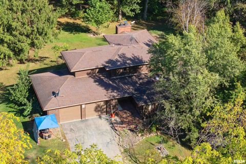 Tiny photo for 8039 HAZEL Road, Morrison, IL 61270 (MLS # QC4269999)