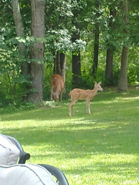 Tiny photo for 8039 HAZEL Road, Morrison, IL 61270 (MLS # QC4269999)