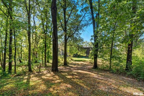 Tiny photo for 8039 HAZEL Road, Morrison, IL 61270 (MLS # QC4269999)