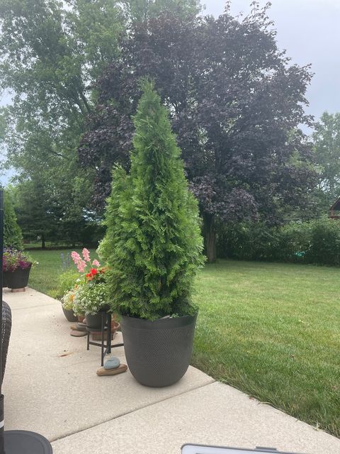 Tiny photo for 480 Nebraska B Court, Frankfort, IL 60423 (MLS # 12629859)
