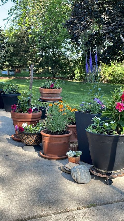 Tiny photo for 480 Nebraska B Court, Frankfort, IL 60423 (MLS # 12629859)