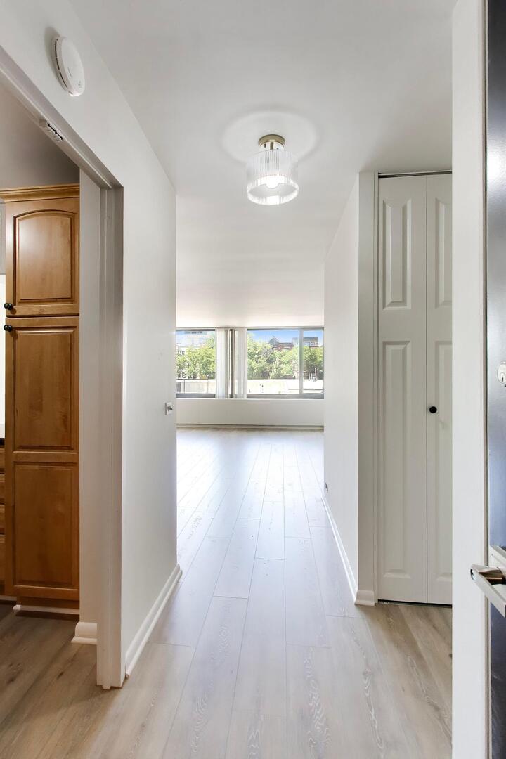 1555 N Sandburg Terrace 209K