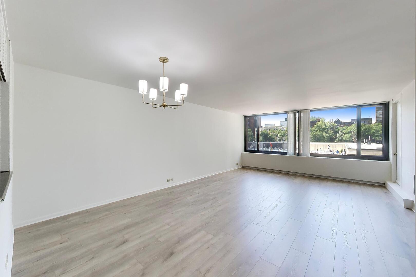1555 N Sandburg Terrace 209K