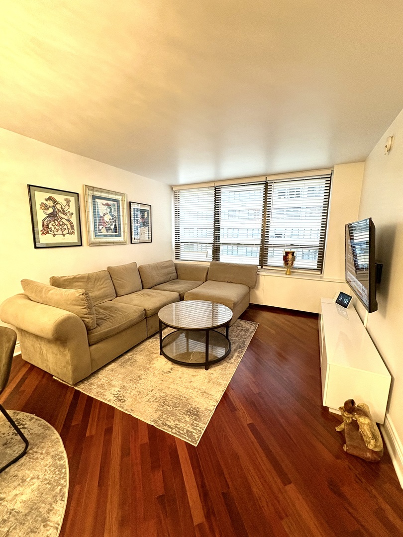 222 E PEARSON Street 1005