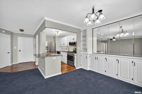 Tiny photo for 1800 7TH Street #8C, East Moline, IL 61244 (MLS # QC4266404)