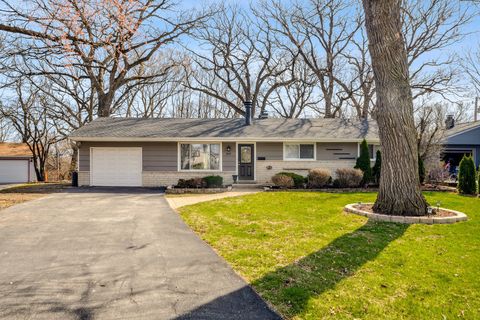 507 Birch Drive Wheaton IL 60187