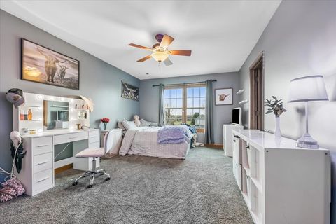 Tiny photo for 12556 Woodview Street, Plano, IL 60545 (MLS # 12603475)