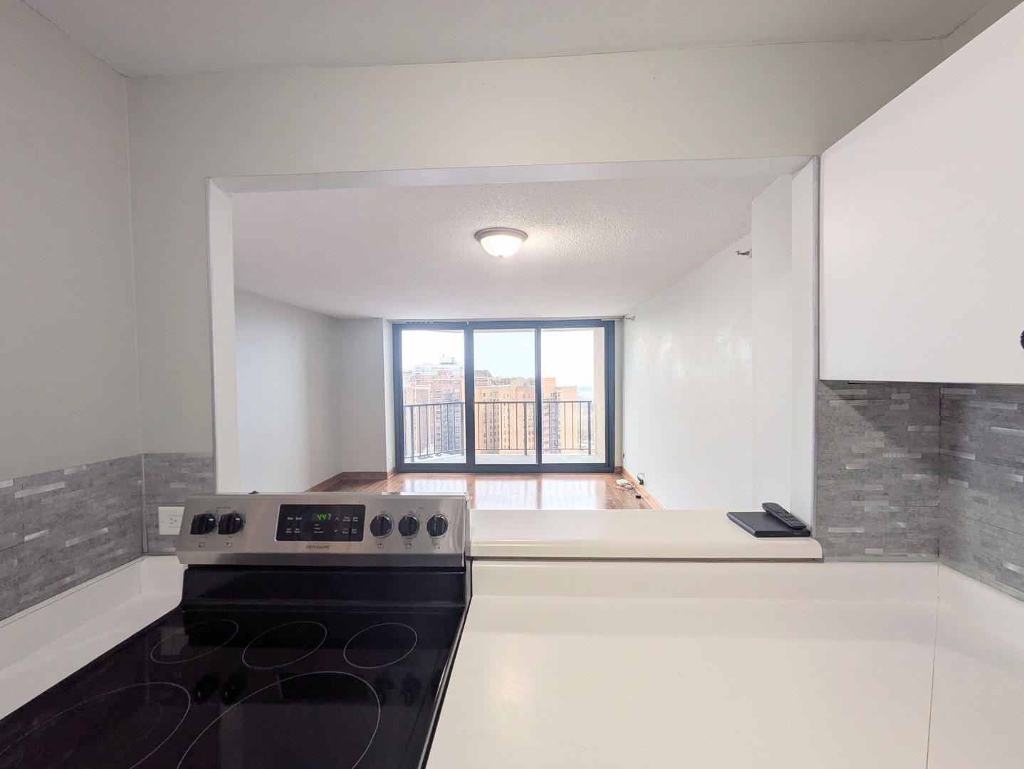 3660 N Lake Shore Drive 2008