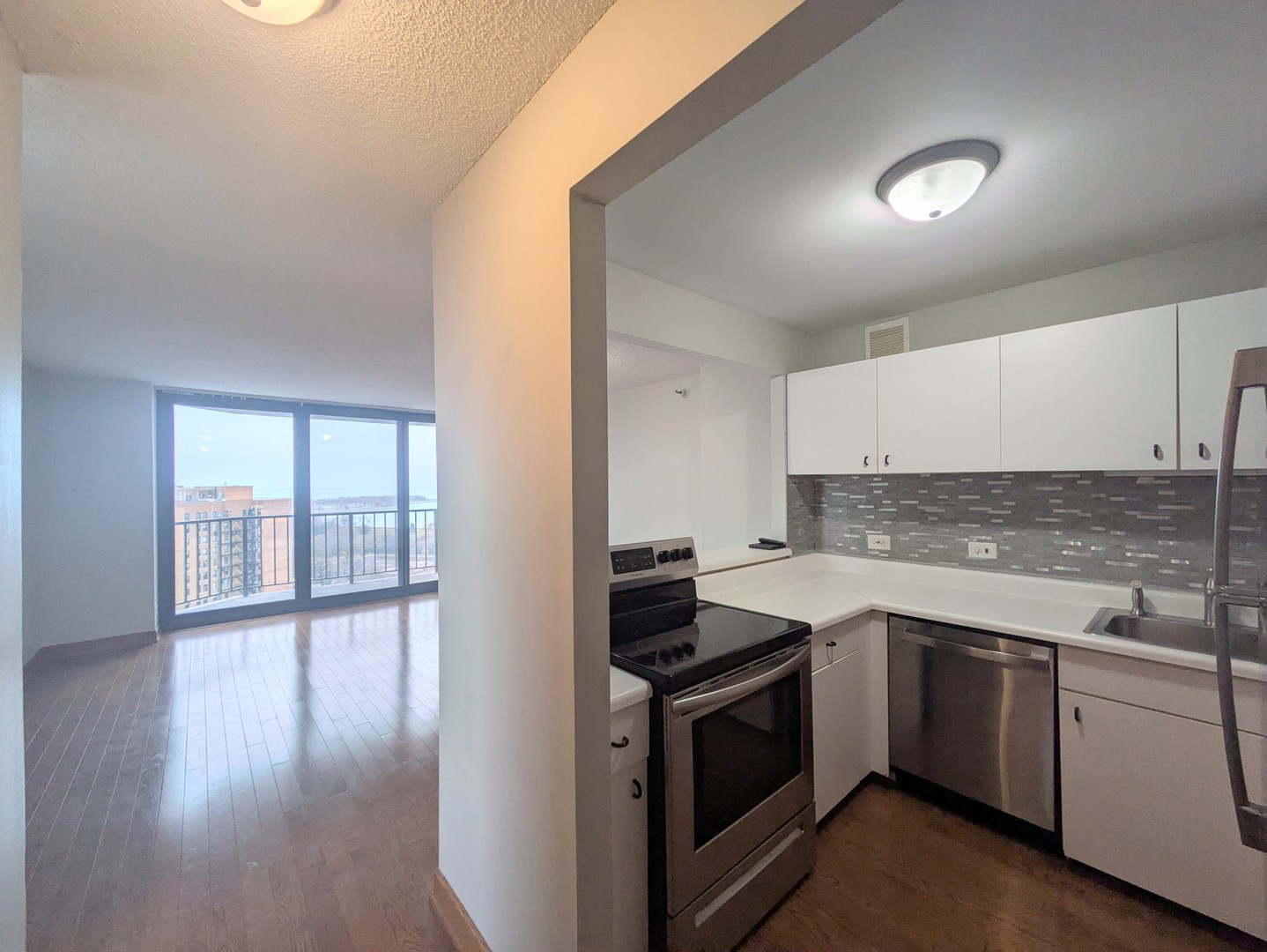 3660 N Lake Shore Drive 2008