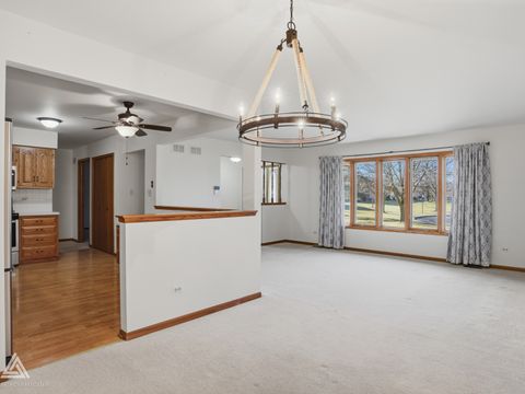 Tiny photo for 10815 Minnesota Court #10815, Orland Park, IL 60467 (MLS # 12560169)