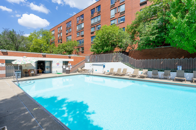 1115 S Plymouth Court 124