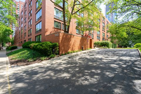 1115 S Plymouth Court 124 Chicago IL 60605