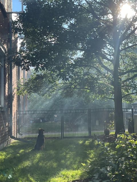 Tiny photo for 1515 Monroe Street #A, Evanston, IL 60202 (MLS # 12537706)